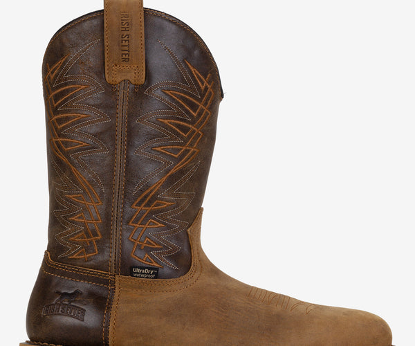 Irish Setter Marshall 11