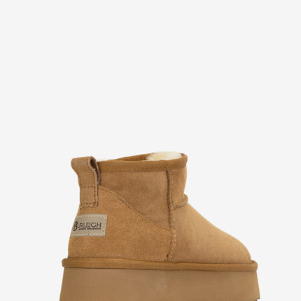 Chestnut