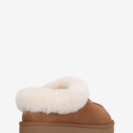 UGG Tazzette Slipper Boot World