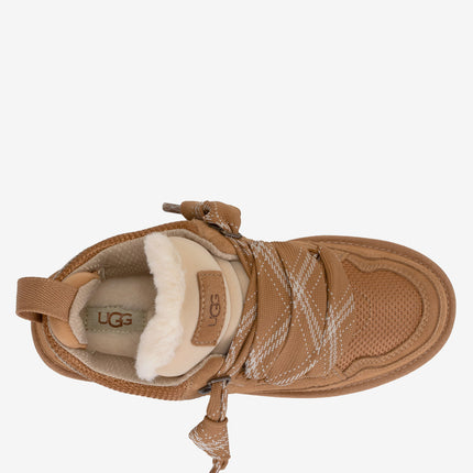 Chestnut
