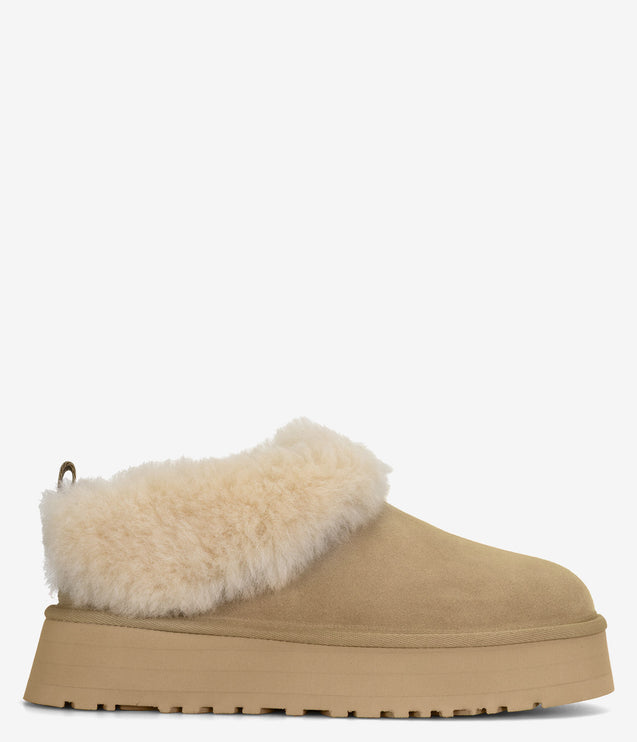 UGG Tazzelle - Mustard Seed