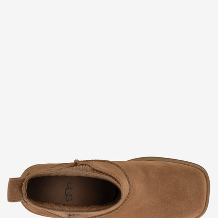 Chestnut