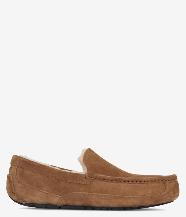 UGG Ascot Slipper - Chestnut