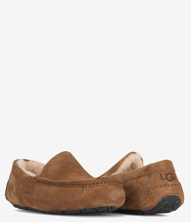 UGG Ascot Slipper - Chestnut