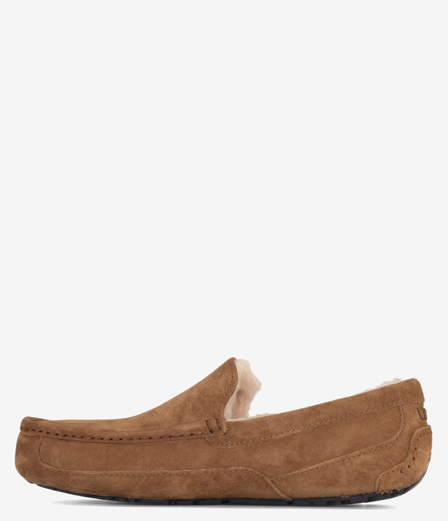 UGG Ascot Slipper - Chestnut