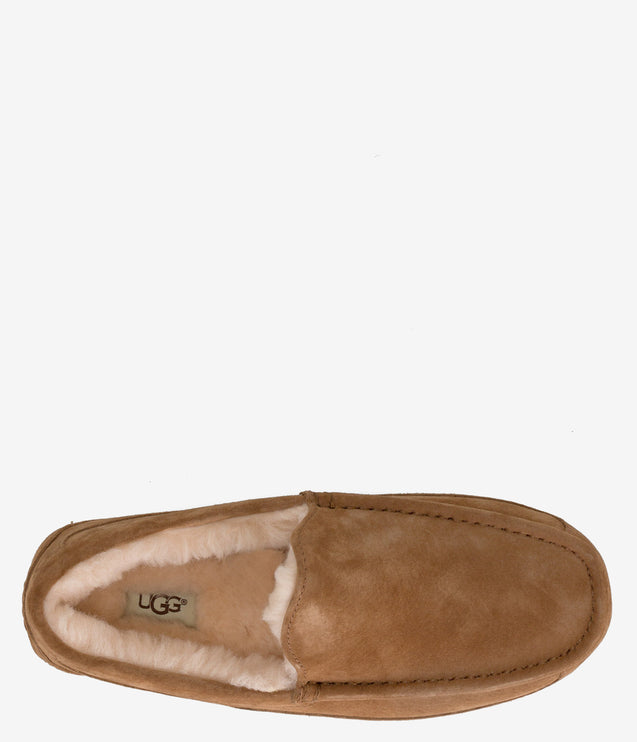 UGG Ascot Slipper - Chestnut