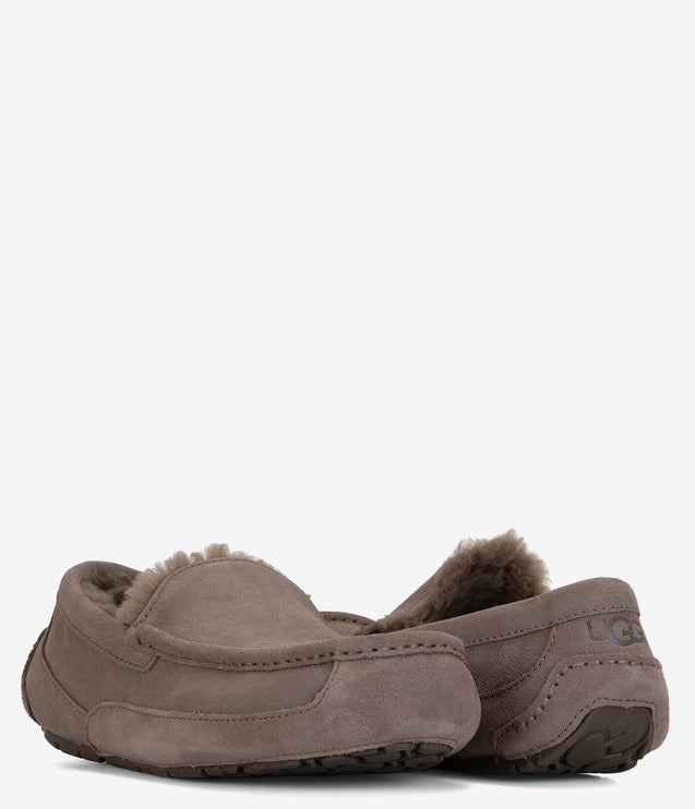 UGG Ascot Slipper - Caribou