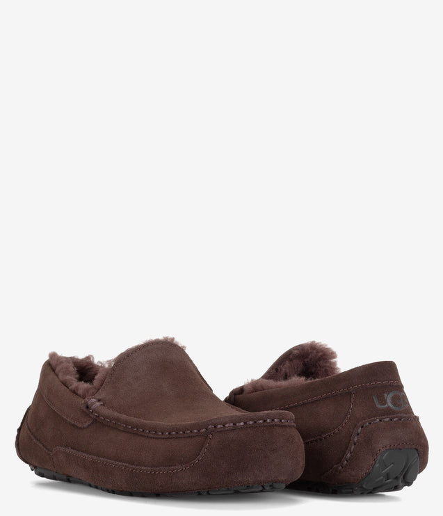 UGG Ascot Slipper - Dusted Cocoa