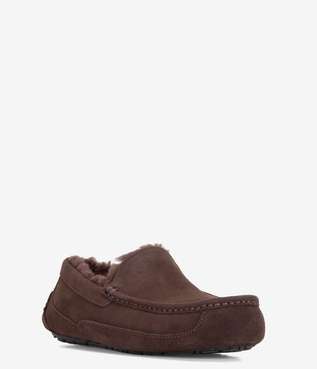 UGG Ascot Slipper - Dusted Cocoa