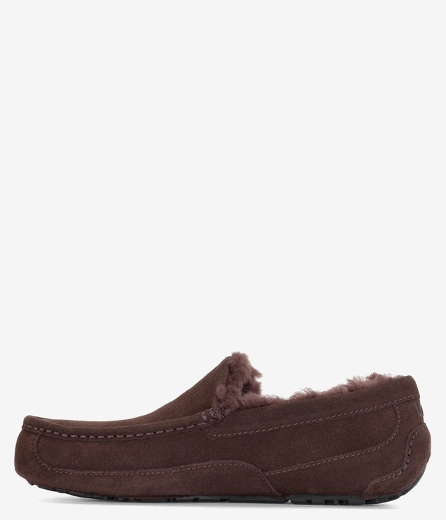 UGG Ascot Slipper - Dusted Cocoa
