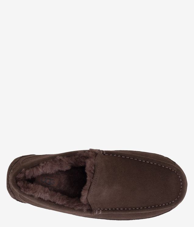 UGG Ascot Slipper - Dusted Cocoa