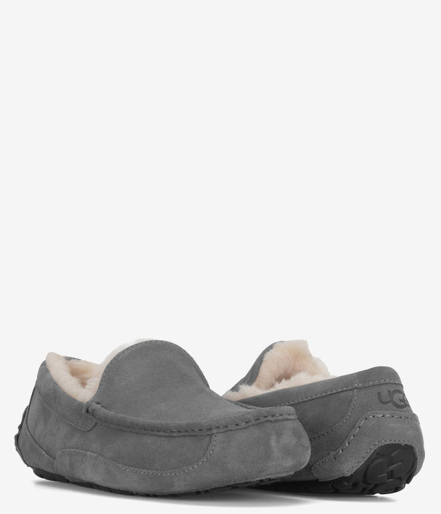 UGG Ascot Slipper - Grey