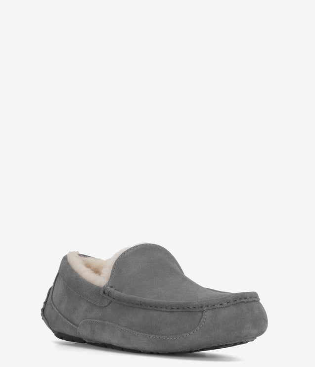 UGG Ascot Slipper - Grey