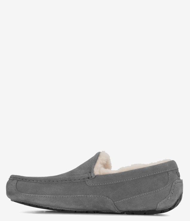UGG Ascot Slipper - Grey