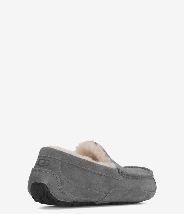 UGG Ascot Slipper - Grey