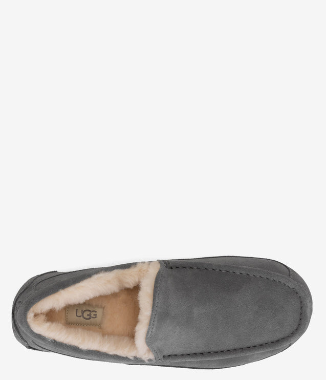 UGG Ascot Slipper - Grey