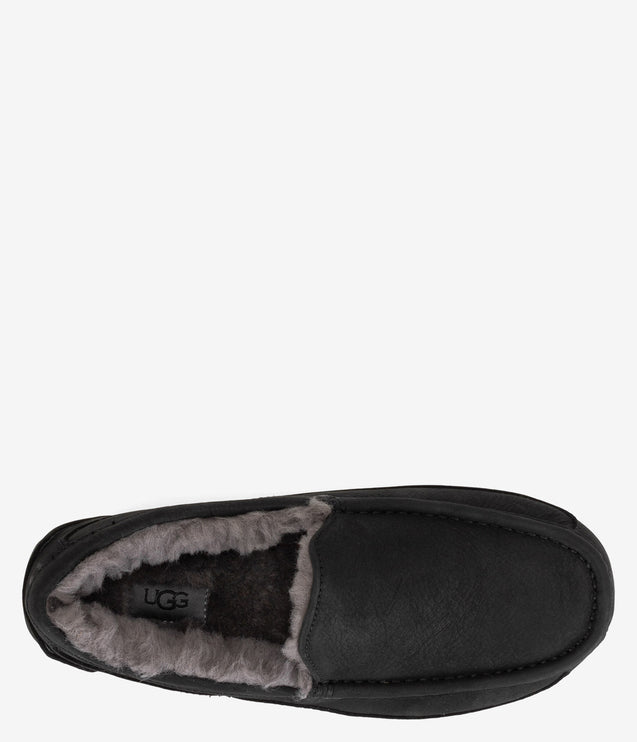 UGG Ascot Matte Leather Slipper - Black